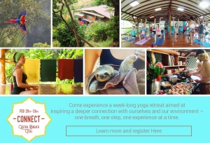 dana rivken yoga retreat